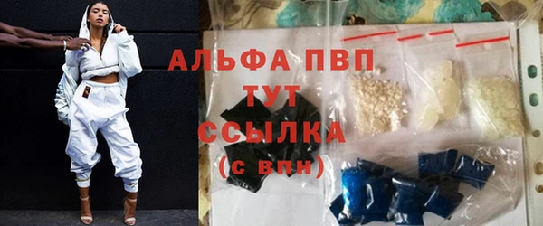 эйфоретик Арсеньев