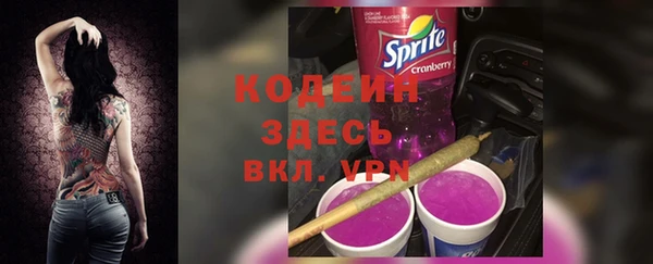 эйфоретик Арсеньев