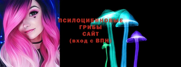 трава Армянск