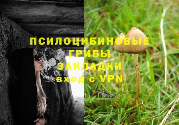 эйфоретик Арсеньев