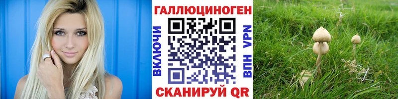 площадка телеграм  Кашин  Псилоцибиновые грибы ЛСД 